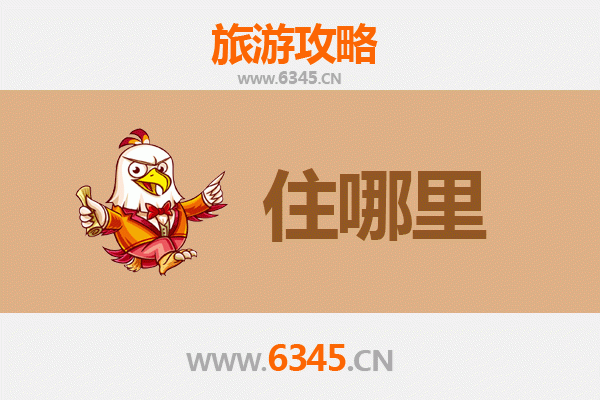厦门旅游民宿全攻略：沉浸式体验鹭岛慢生活